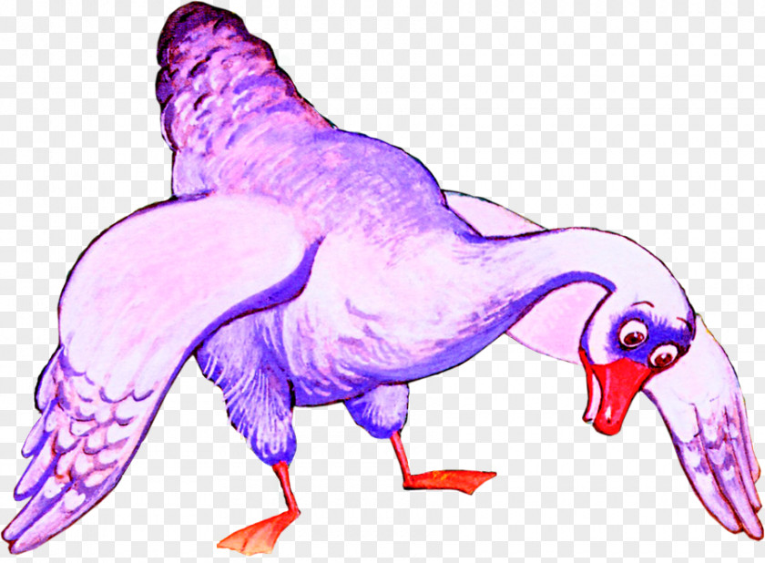 Chicken Grey Geese Cygnini Clip Art PNG