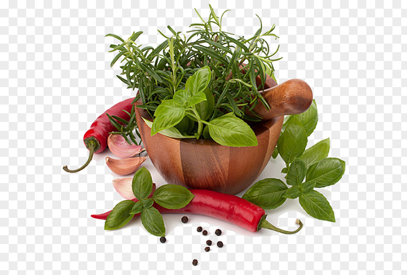 Delicious Meat Herb Spice Condiment Flavor Mortar And Pestle PNG