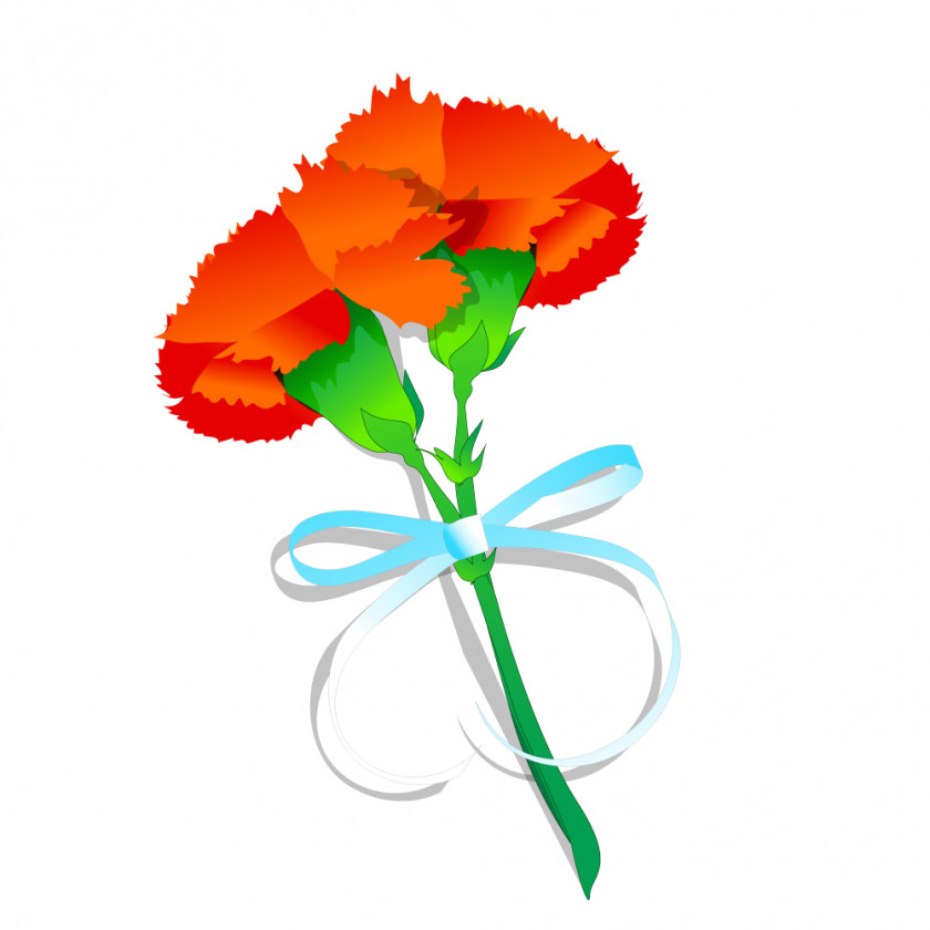 Flower Carnation Cut Flowers Clip Art PNG