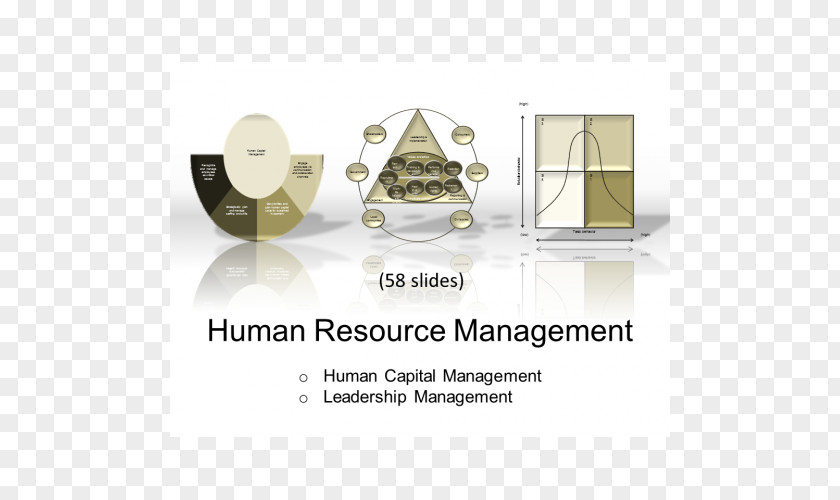 Human Resource Management Text Industrial Design Database PNG