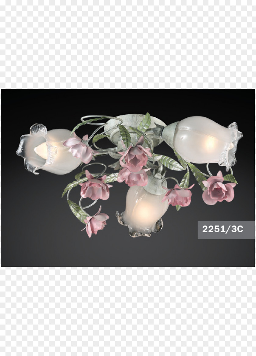 Odeon Light Chandelier Fixture Potolochnyye Sconce PNG