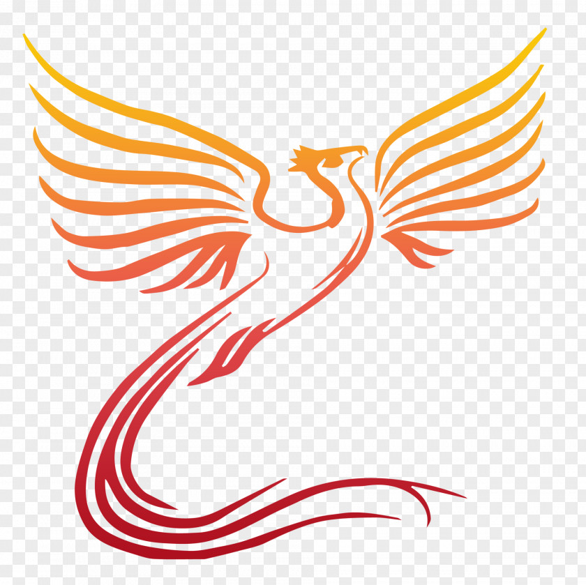 Route Phoenix Bird Mythology Clip Art PNG