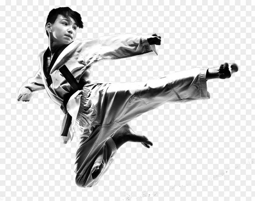 Shorinji Kempo Wing Chun Taekwondo Cartoon PNG