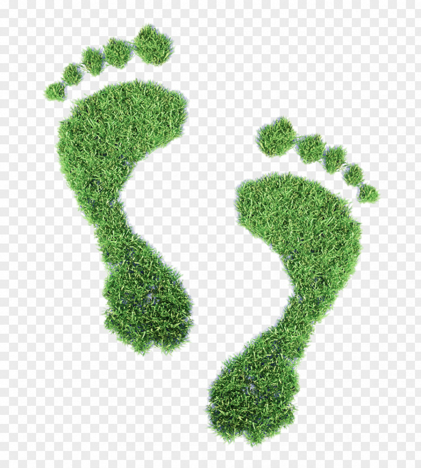Creative Lawn Footprints Ecological Footprint Ecology Carbon Concept Illustration PNG