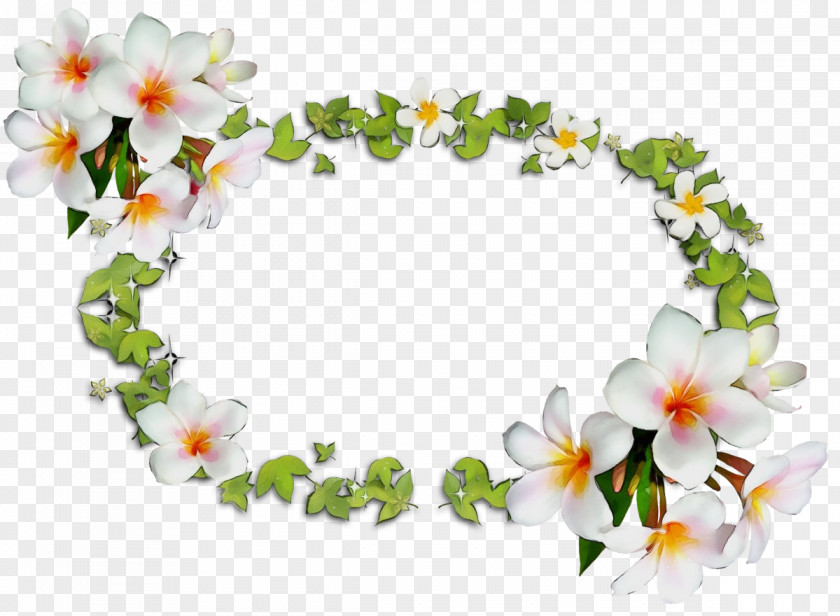 Floral Design PNG