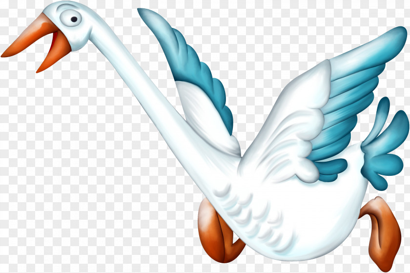 Goose Cygnini Anser Bird Clip Art PNG
