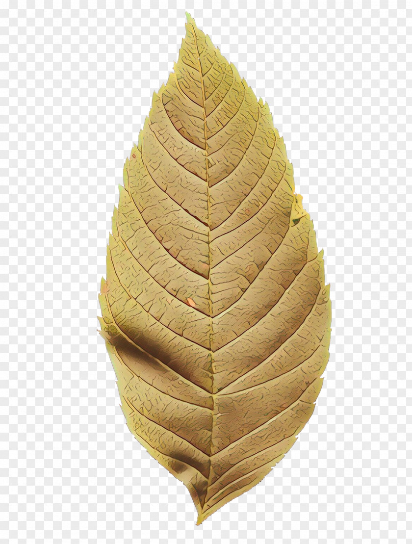 Leaf Commodity PNG