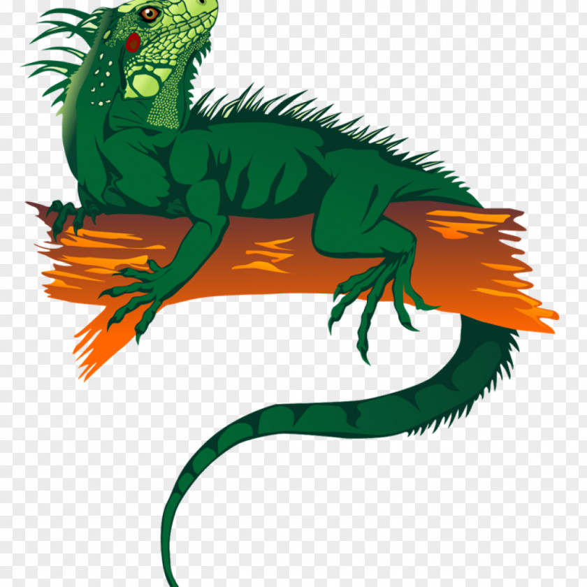 Lizard Green Iguana Reptile Clip Art Image PNG