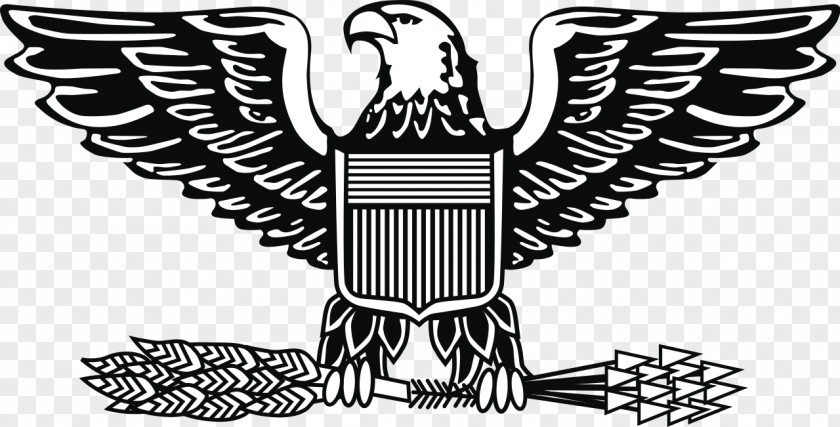 Military Eagle Cliparts Rank Colonel United States Army Officer Insignia PNG