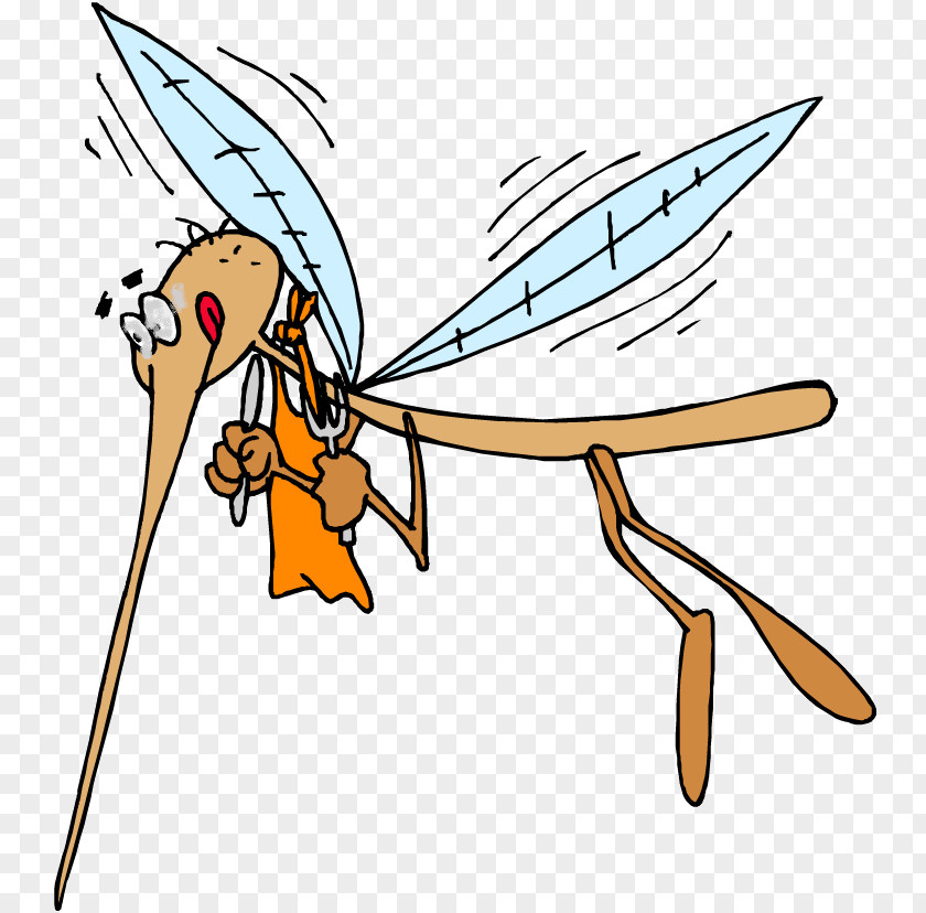 Mosquito Viral Hemorrhagic Fever Japanese Encephalitis Animal Bite Disease PNG