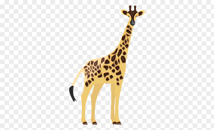 Neck Toy Giraffe Giraffidae Terrestrial Animal Figure Wildlife PNG