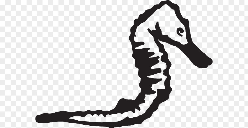 Seahorse White Shoe Clip Art PNG