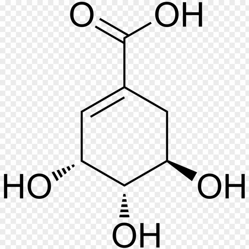 Shikimic Acid Shikimate Pathway Star Anise Structural Formula PNG