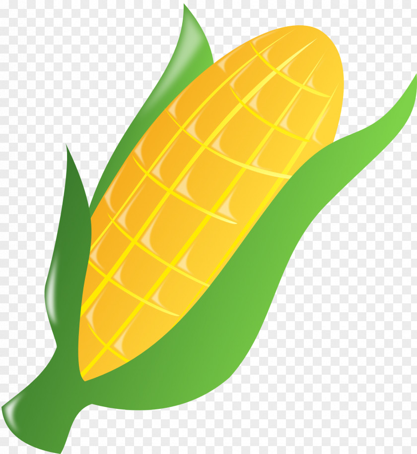 Cauliflower Popcorn Candy Corn On The Cob Maize Clip Art PNG