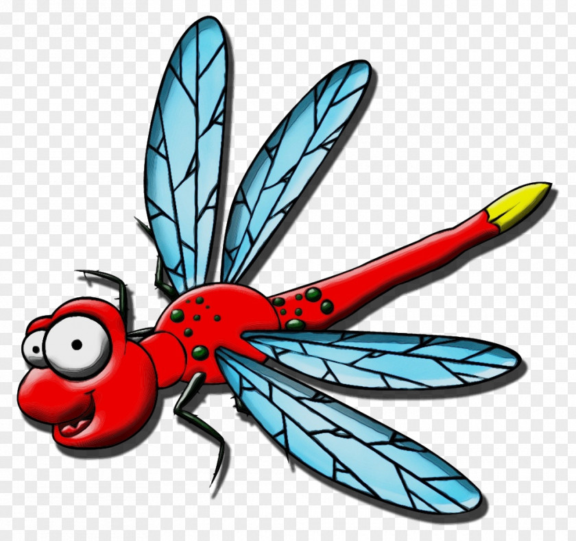 Fly Pest Insect Dragonflies And Damseflies Damselfly Wing Dragonfly PNG