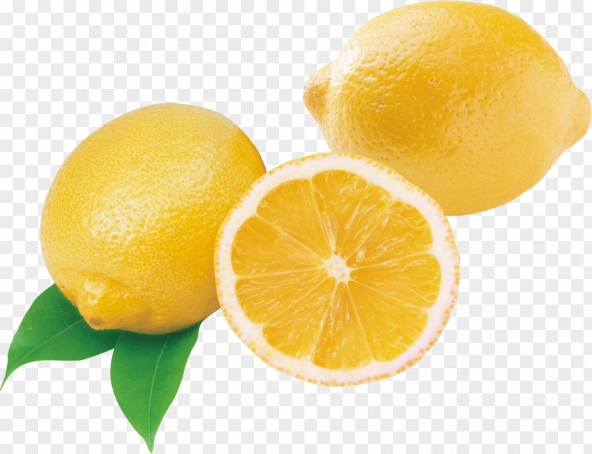 Fresh Lemon Meyer Lime Sweet PNG
