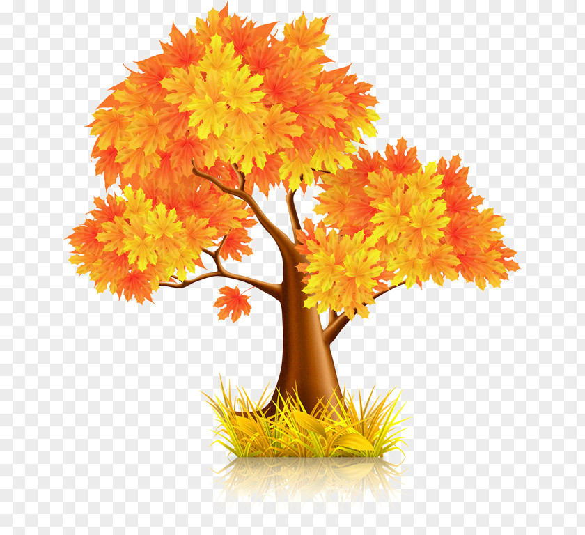 Gold Leaf Tree PNG