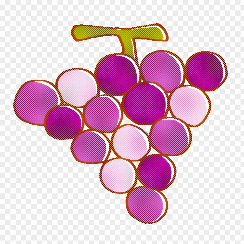 Grape Zante Currant Wine Line Art Leaves PNG