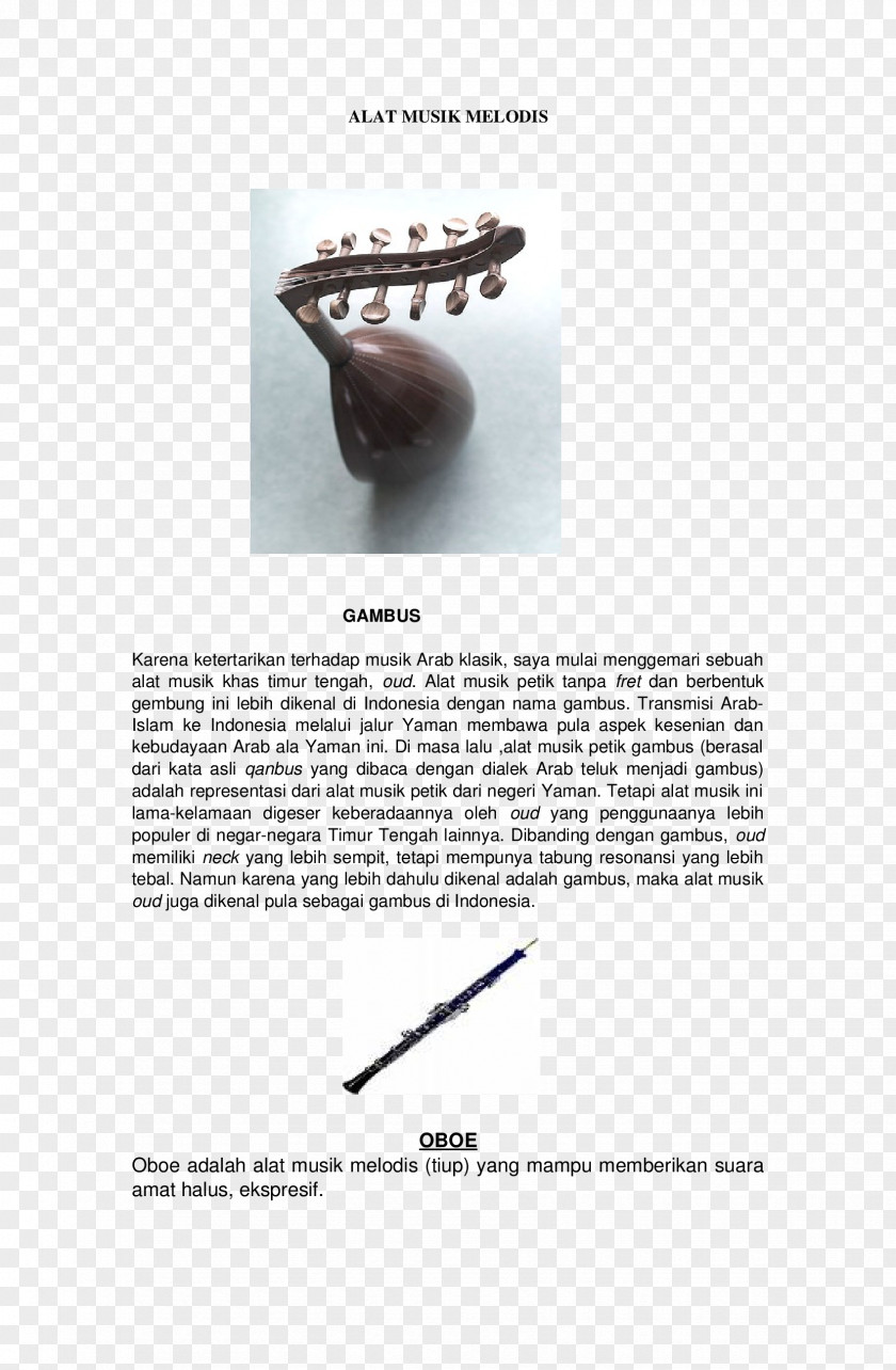 Musical Instruments Indonesia PNG