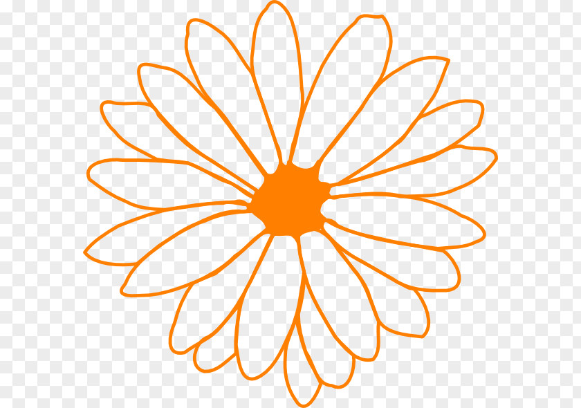 Orange Flower Drawing Common Daisy Clip Art PNG