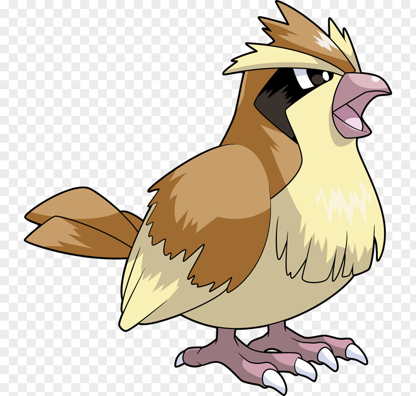 Pidgey Pokémon X And Y Pikachu Pidgeotto GO PNG