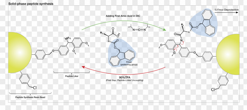 Directions Vector Peptide Synthesis Solid-phase Merrifield-Synthese Chemical PNG
