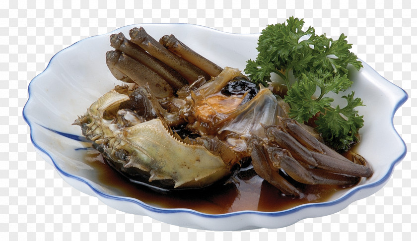 FAIR Live Crab Horsehair Seafood Vegetarian Cuisine PNG