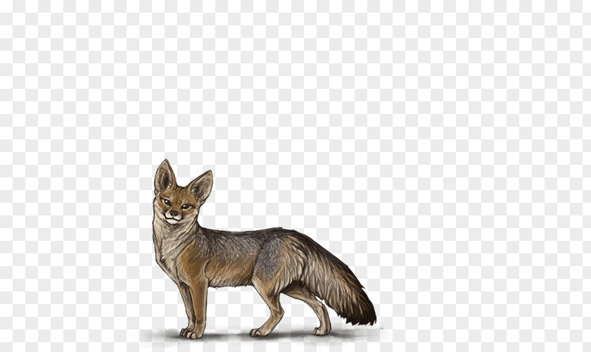Dog Red Fox Breed Jackal Fauna PNG