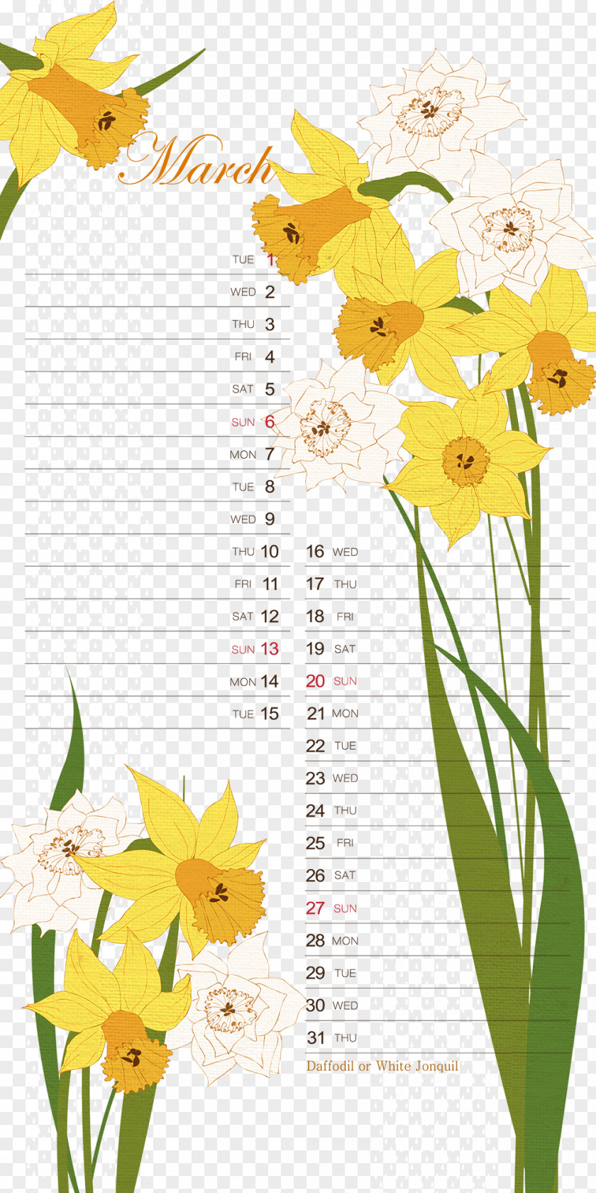 March Calendar Background Pattern Template Flower Illustration PNG