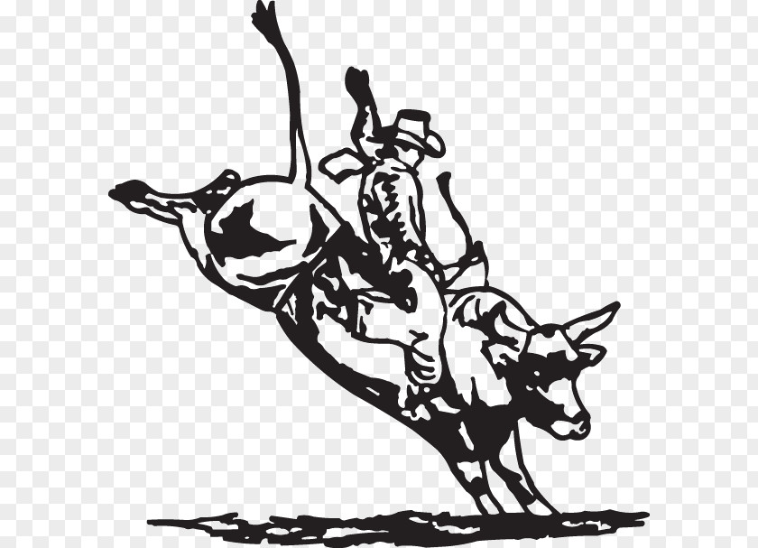 Bull Drawing Riding Decal Professional Riders Sticker Rodeo PNG