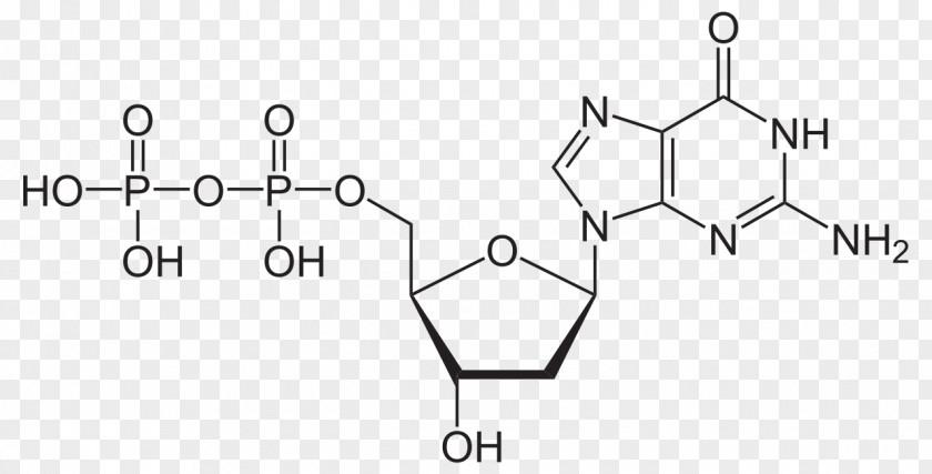 Energy Adenosine Triphosphate Guanosine Monophosphate Molecule Chemistry PNG