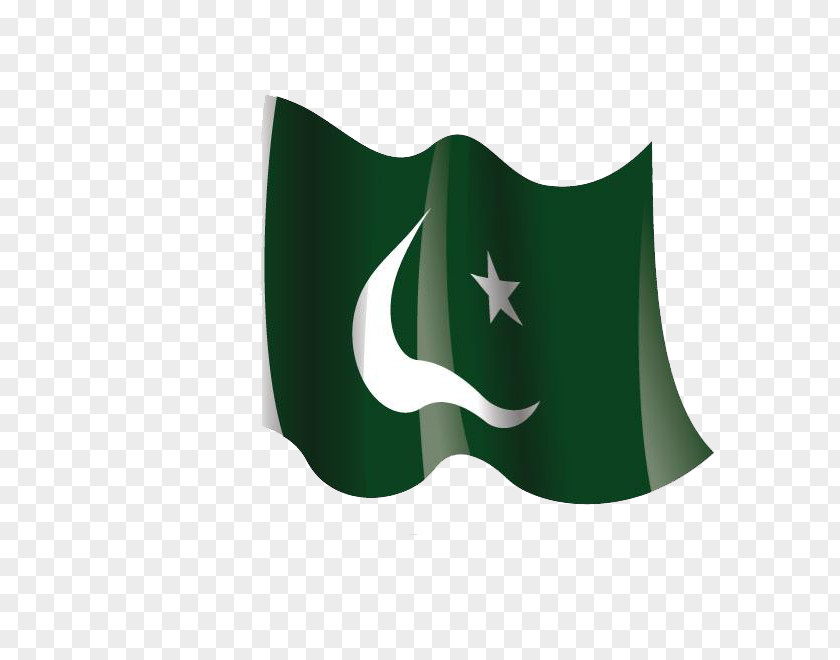Flag Of Pakistan Image Vector Graphics PNG