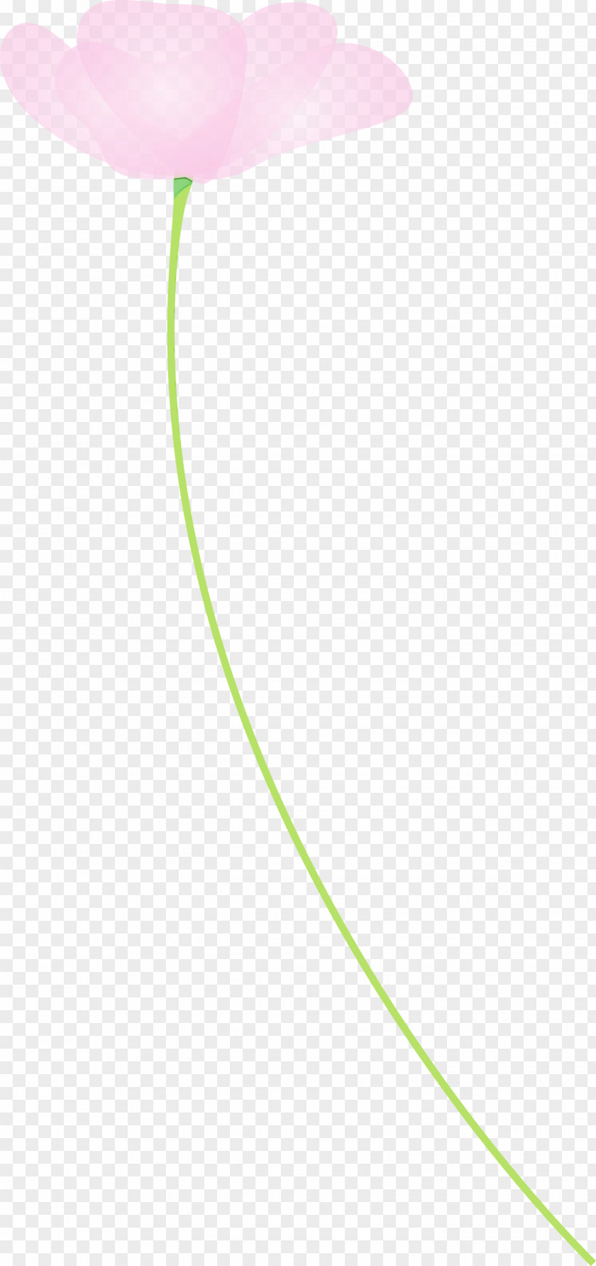 Green Line Circle PNG