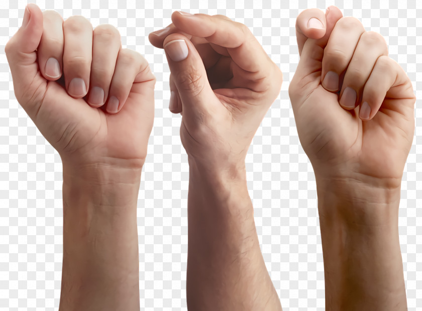 Joint Hand Model Sign Language Finger Snapping PNG