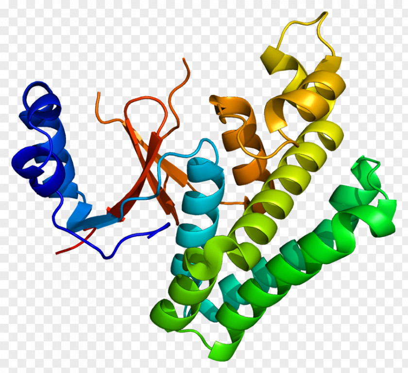 OTUB2 Protein Deubiquitinating Enzyme Cysteine Protease PNG