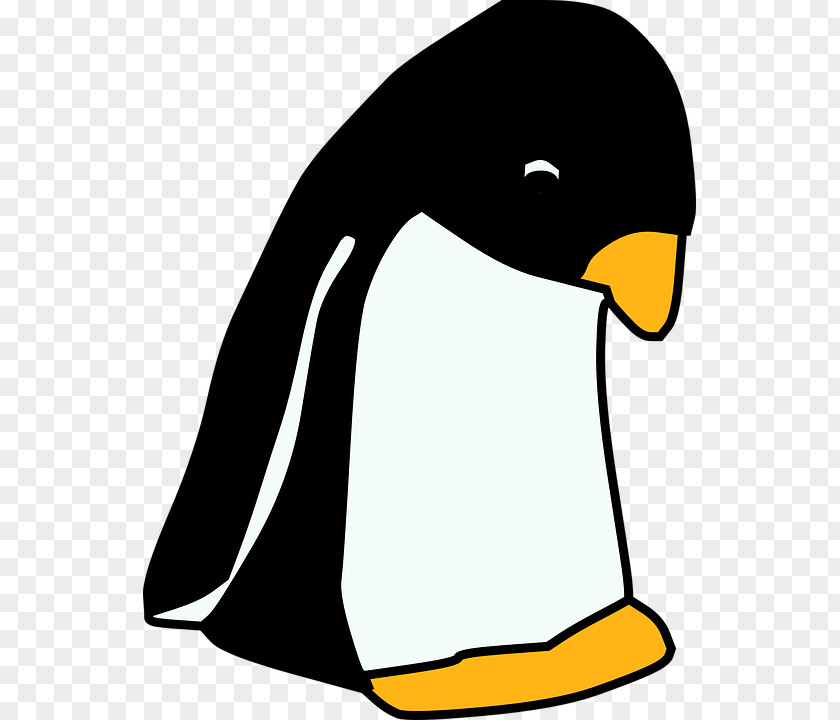 Penguin Little Clip Art Openclipart Drawing PNG