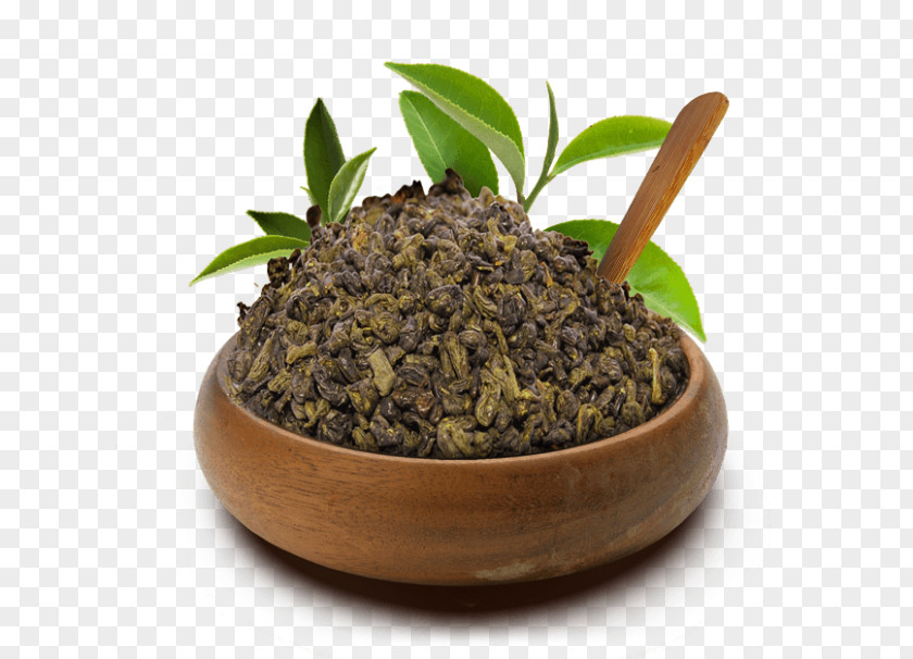 Tea Oolong Nilgiri Green Yogi PNG