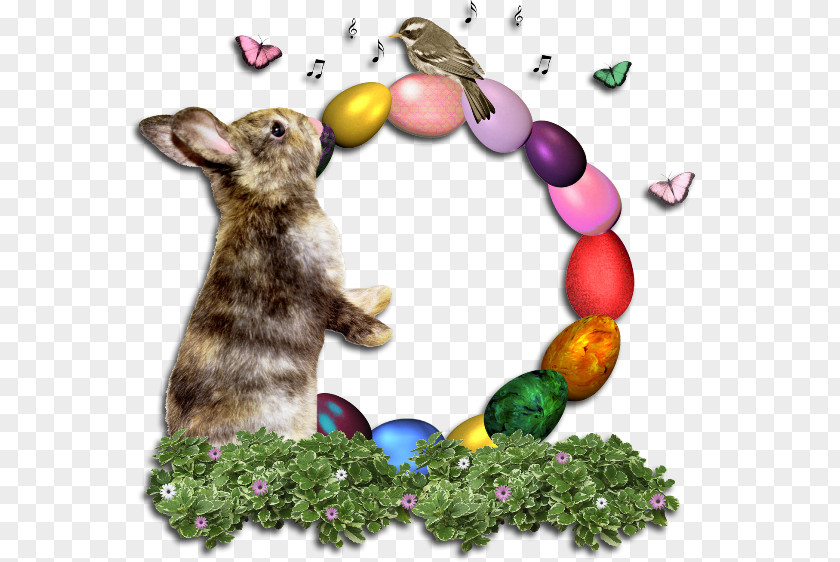 Tet Holiday Hare Easter Bunny Rabbit Egg PNG
