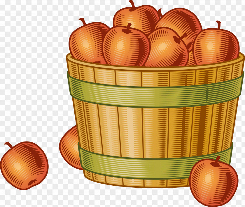 Vector Basket Of Apples Harvest Fruit Picking Bushel Clip Art PNG
