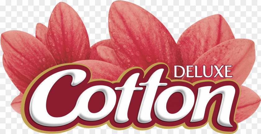 Cotton On Logo Brand Paper Fortal Product PNG