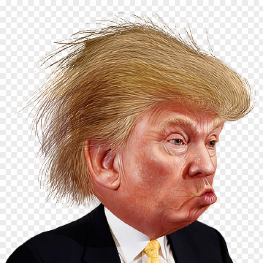 Donald Trump Clip Art Image Funny Face PNG