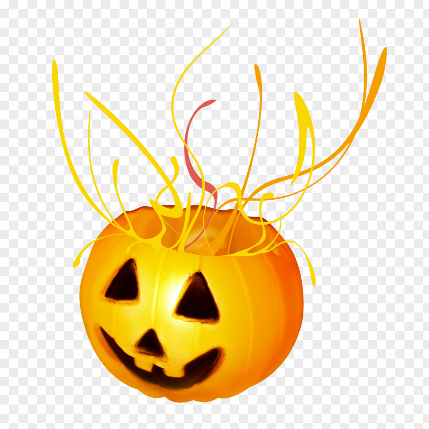 Halloween Pumpkins Jack-o-lantern Pumpkin Banner PNG