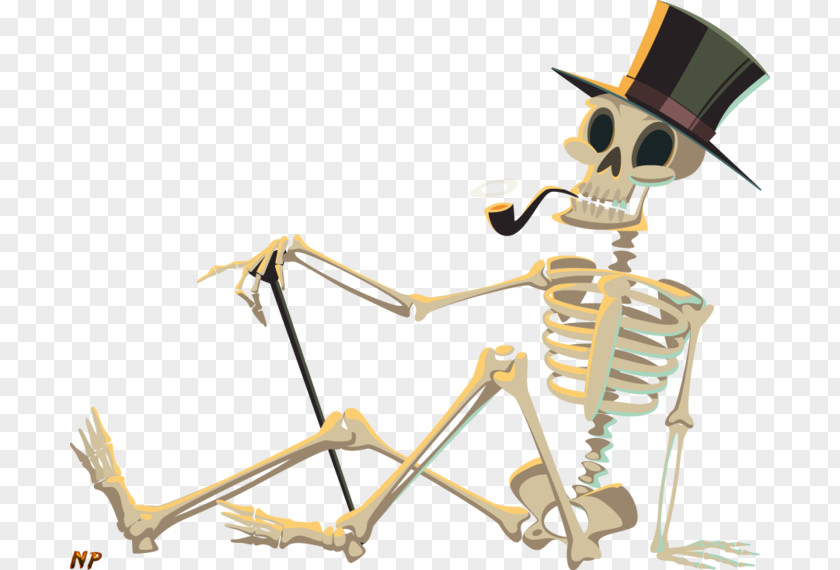 Human Skeleton Clip Art PNG