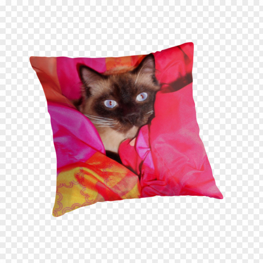 Kitten Whiskers Throw Pillows Cushion PNG