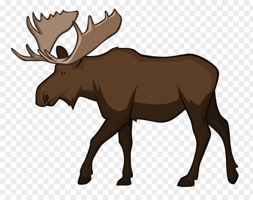 MOOSE Moose Reindeer Wildlife Animal PNG