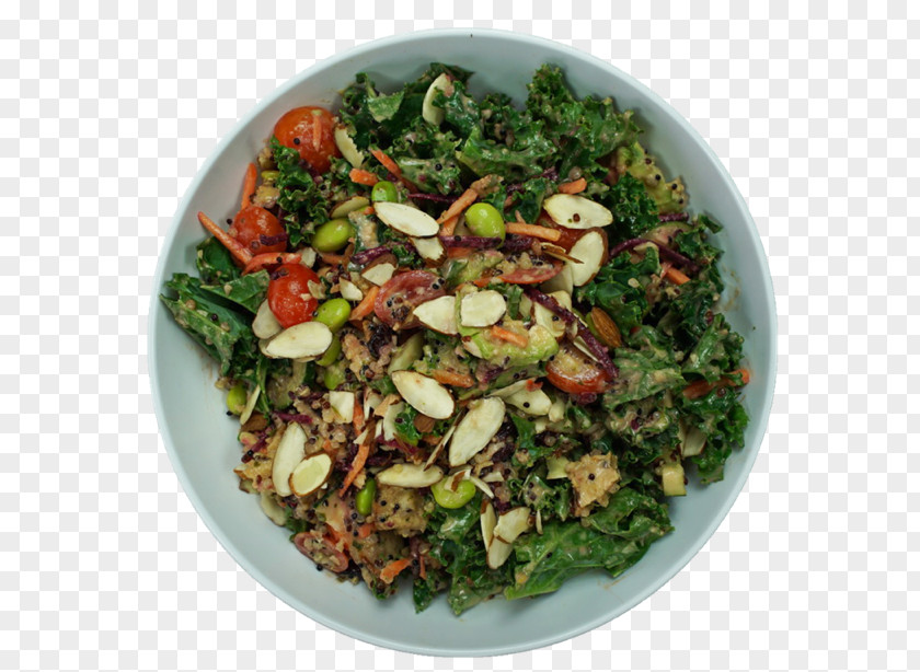 Ahi Tuna Rice Bowl Fattoush Vegetarian Cuisine Asian Food Greens PNG