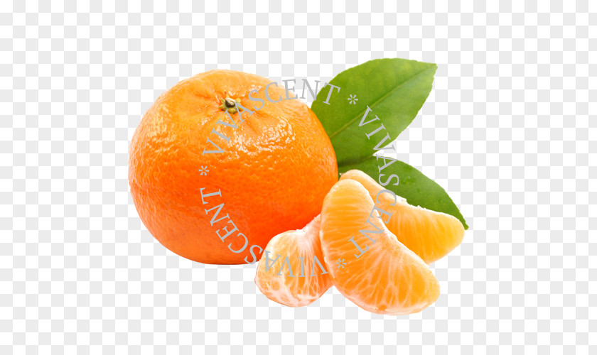 Orange Mandarin Tangerine Satsuma PNG