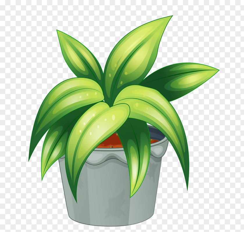 Potted Plant Cliparts Flowering Clip Art PNG