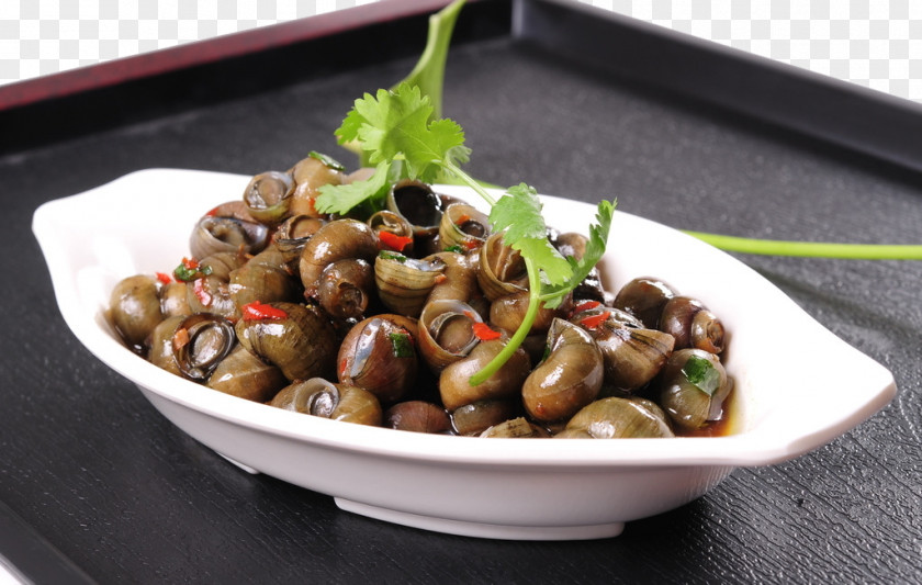 Snail On The Plate Clam Food Stir Frying Beefsteakplant Capsicum Annuum PNG