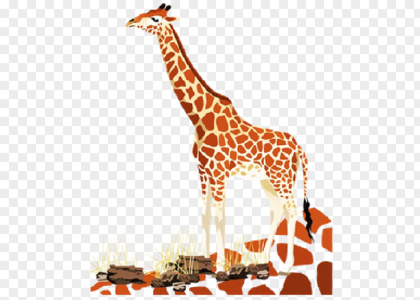 Watercolor Giraffe Northern Baby Giraffes Animal Stock Photography PNG